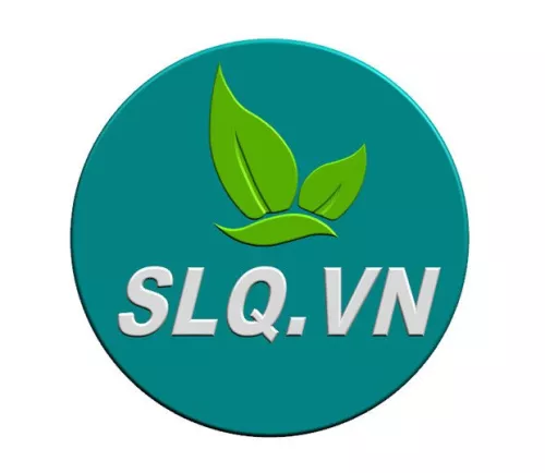 SHELL LAIQI VIETNAM COMPANY LIMITED